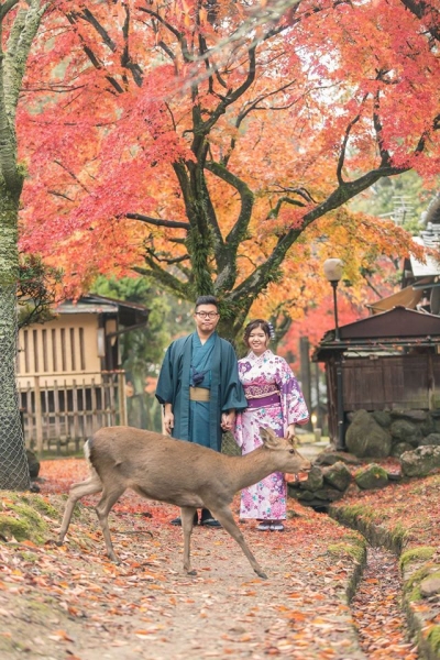  - Japan Nara Pre-wedding - Caroline_kwok - Caroline, Narco, , $15,001至$20,000, 京都, , , , , , 自然, 櫻花/紅葉