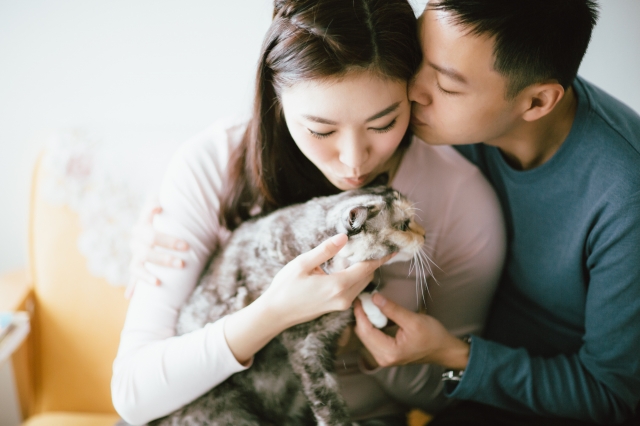  - Pre wedding - Toffeemeow - Novella Chi Ling Lau, Marco Szeto, MaryAnn Photography, $20,001至$25,000, , , , Simple and elegant, Simple and beautiful and with my favourite garde, One gown with two different styles which surpris, , 