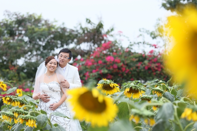  - Wedding - Augustine828 - , , Bliss Wedding Photography, , 全中國, , , , , , 自然, 薰衣草