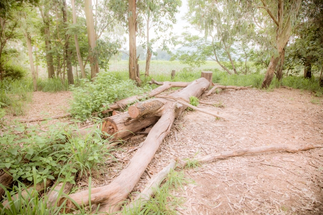  - prewedding - 艾蜜莉 - , , Sample Prewedding, , 南生圍, , , , , , 自然, 青山綠草