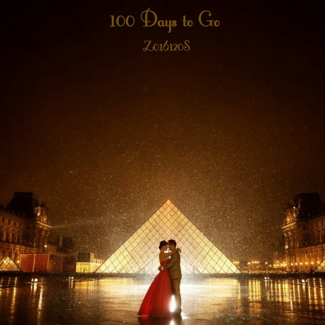 ❤️ZS123❤️ 100 Days to Go