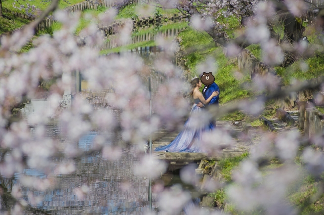  - Prewedding - Vickyb - , , =), , 東京, , , , , , 自然, 櫻花/紅葉