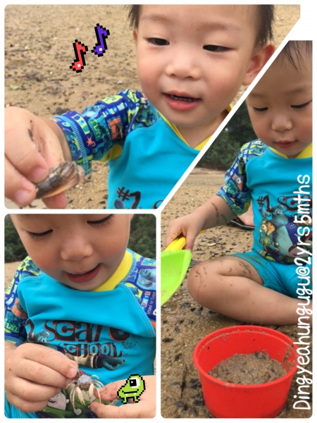 肥丁成長日記 | 大自然MESSY PLAY - 探蟹蟹