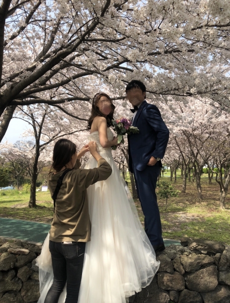 翻譯用手機影 - PRE WEDDING - Cherrr - , , ONE PLUS ONE WEDDING, , 韓國, 濟洲島, , , , , 自然, 櫻花/紅葉