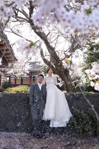  - Pre Wedding相 - Cho_Cho - , , One plus one, , 韓國, Jeju, , , , , 自然, 櫻花/紅葉