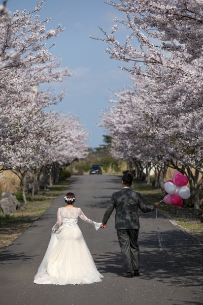  - Pre Wedding相 - Cho_Cho - , , One plus one, , 韓國, Jeju, , , , , 自然, 櫻花/紅葉