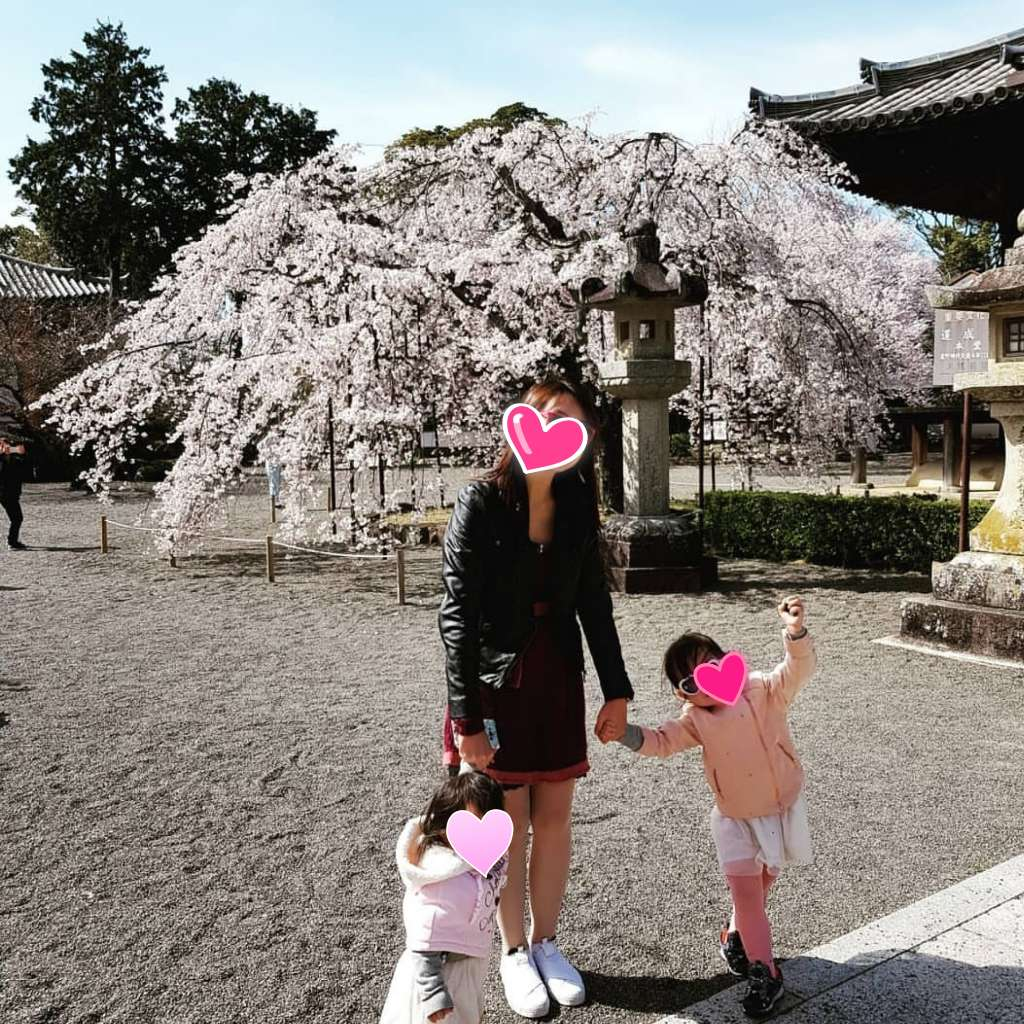 [大阪親子旅遊]3月尾櫻花滿開和歌山道成寺