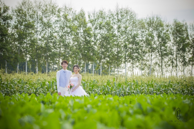  - 北海道栗米田可愛pre-wedding - 在北海道結婚吧 - Mary, Ken, Bell Classic Hokkaido, $20,001至$25,000, , , 包括化妝﹑造型﹑婚紗﹑日本攝影師﹑一整日的拍攝取景﹑200張不修圖照片, 日式化妝都偏向自然系，幾鐘意，事前已通知不備假眼睫毛, , JAUL AND JOE的姊紗裕是偏簡潔大方，很喜歡, , 