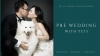 pre wedding with pets