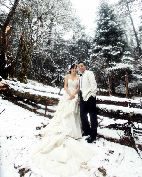  - Shirley & Tony Pre-wedding@Lijiang - shirleylau304 - Shirley Lau, Tony Bud, 品果‧影像, $15,001至$20,000, 雲南(包括麗江、大理、香格里拉), , , , , , 自然, 高原