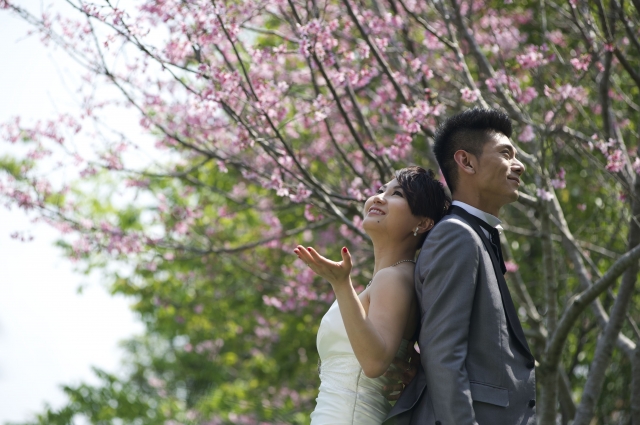  - WiFi Wedding Album - wifi0425 - Fiona Sou, Wilson Chu, Nil, $15,001至$20,000, 台中, , N/A, Pro, N/A, Economic, 自然, 櫻花/紅葉