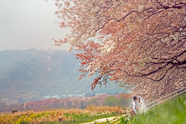  - C & C @ Kyoto - CHRISTY112 - Christy, Charles, Unique Momento Photography, $15,001至$20,000, , , Oversea Pre-wedding, , , , , 