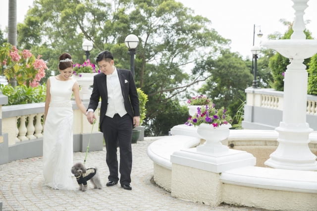  - My Sweet Photobook - oilnkj - Helen, Cyrus, Spring Wedding, $25,001至$30,000, , , 主題, 清新自然, 自備, , , 