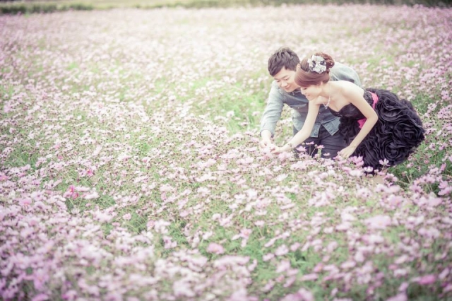  - 「愛不單行」的答案 - Jennyin - , , , , 台中, , , , , , 自然, 花田(如油菜花、波斯菊等)