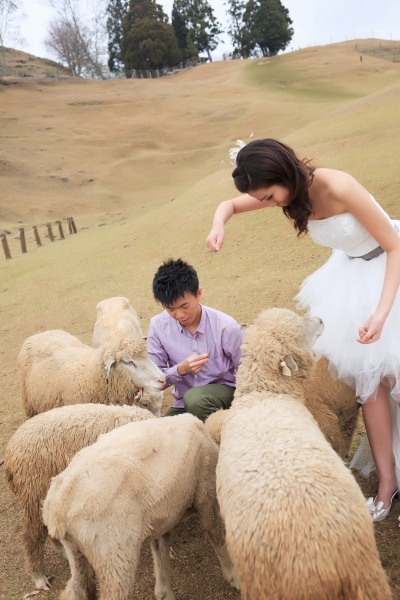  - My Sweet Photobook - Elmodabest - Kelly, John, Arlene Wedding, $25,001至$30,000, 台中, , , , , , 自然, 青山綠草