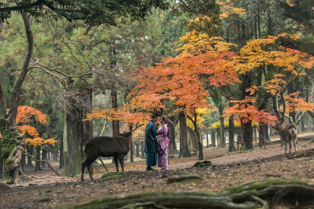  - Japan Nara Pre-wedding - Caroline_kwok - Caroline, Narco, , $15,001至$20,000, 京都, , , , , , 日式, 櫻花/紅葉