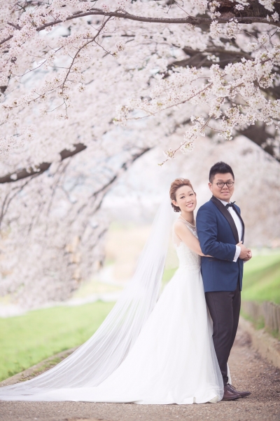  - 京都櫻花 Pre Wedding - Shiba - Hebe, Bryant, K.M. Photography, $20,001至$25,000, 京都, , , Jacky IP, Lemongrass, Gemelli Wedding, 自然, 櫻花/紅葉