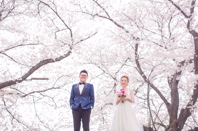  - 京都櫻花 Pre Wedding - Shiba - Hebe, Bryant, K.M. Photography, $20,001至$25,000, 京都, , , Jacky IP, Lemongrass, Gemelli Wedding, 自然, 櫻花/紅葉