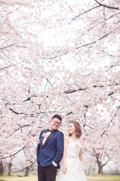  - 京都櫻花 Pre Wedding - Shiba - Hebe, Bryant, K.M. Photography, $20,001至$25,000, 京都, , , Jacky IP, Lemongrass, Gemelli Wedding, 自然, 櫻花/紅葉